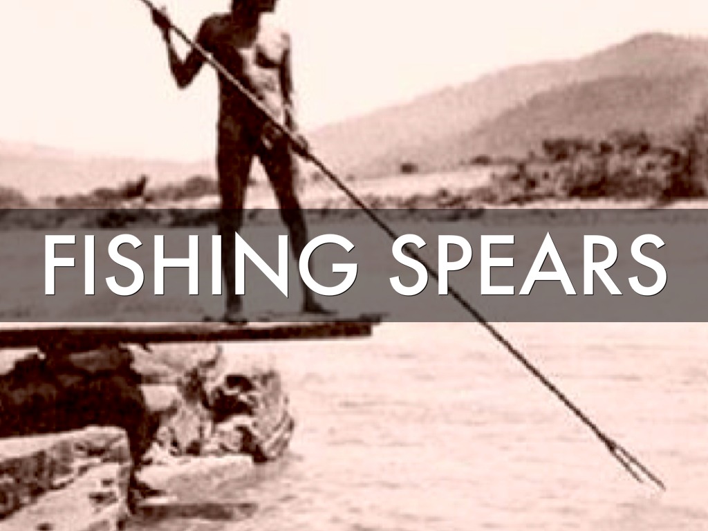 Catching And Preserving Salmon