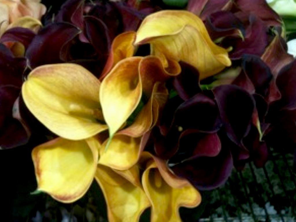 Flowers to Kent by Flowerstokent