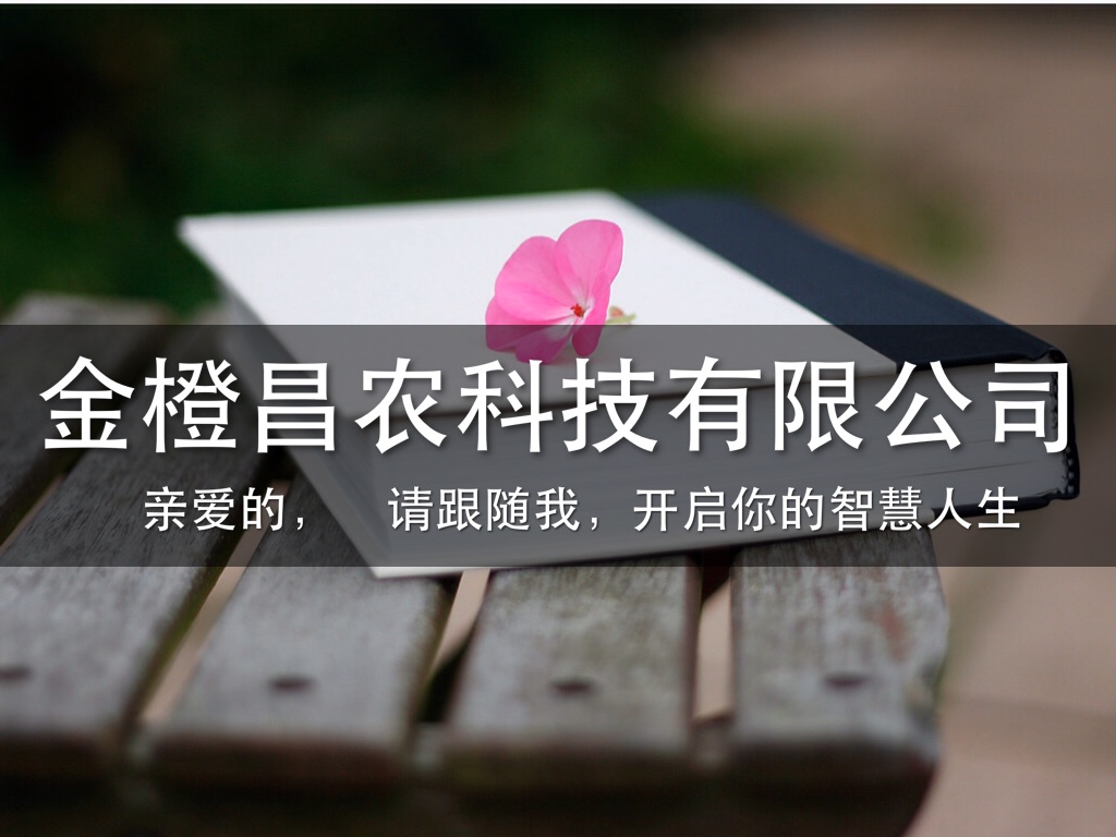 Haiku Deck 在行动