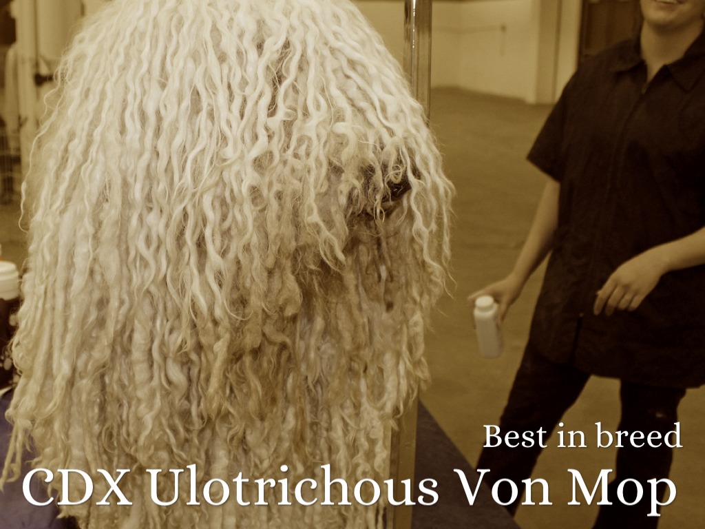 ulotrichous 4 #altwic 