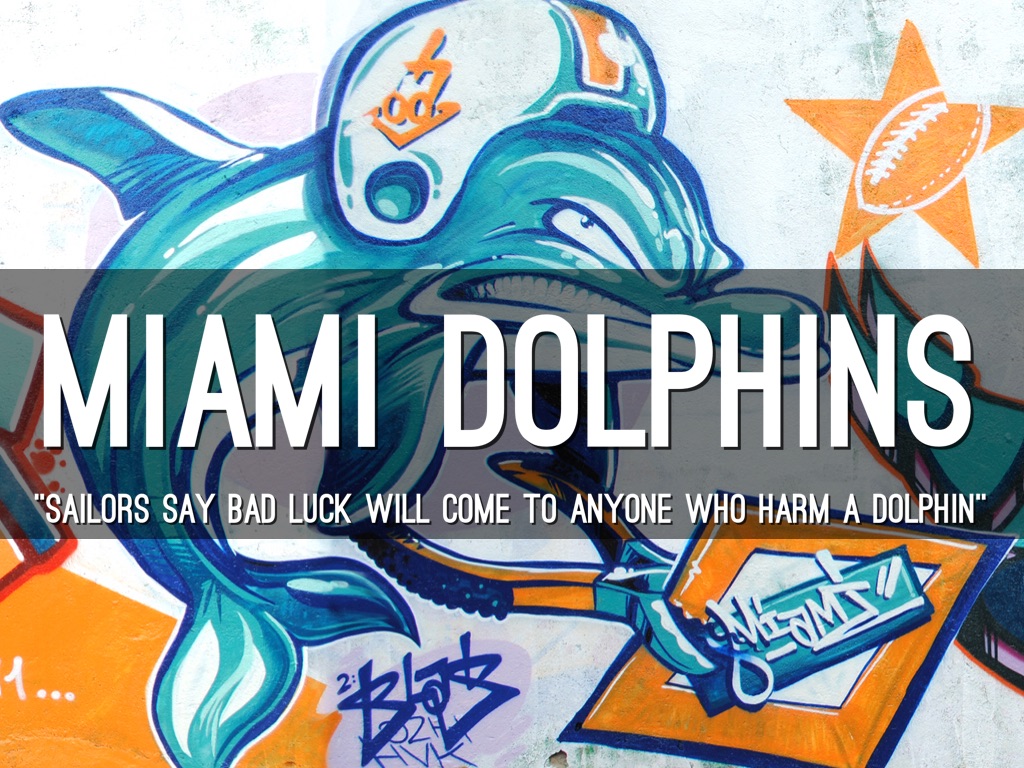 Miami Dolphins 🐬