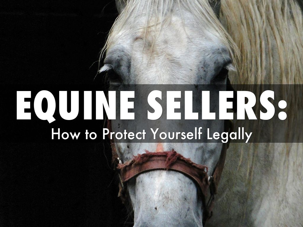 Equine Sellers: How to Protect Yourself Legally