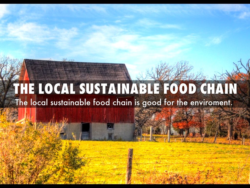 Local Food Chain by mmesler