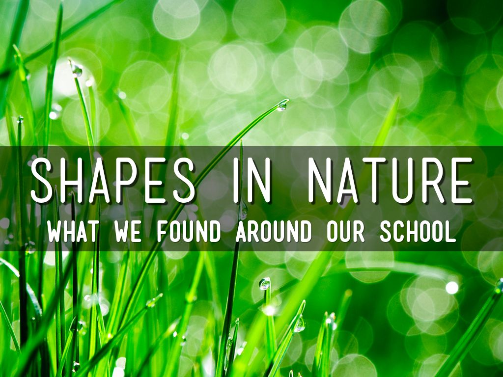 Shapes in Nature