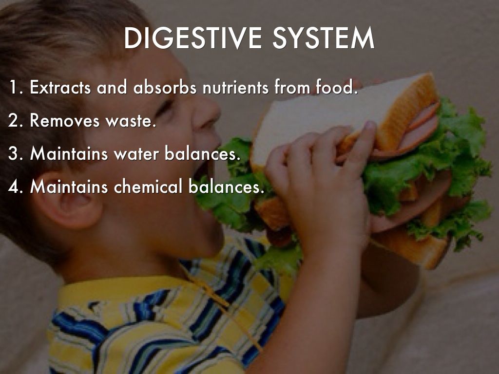 Human body system by cassidygarcia67