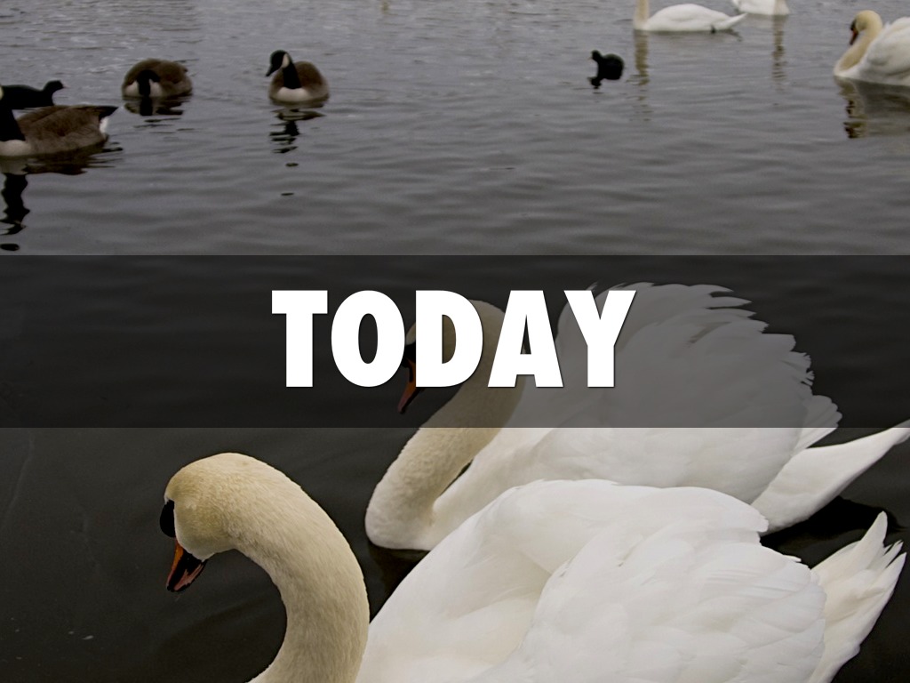 Today