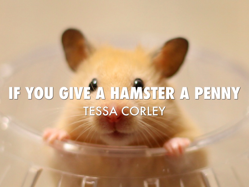 If You Give A Geometry Student A Project