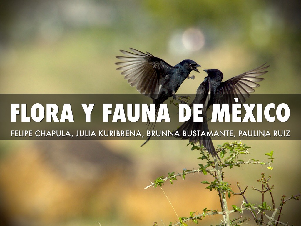 Proyecto De Regiones Naturales