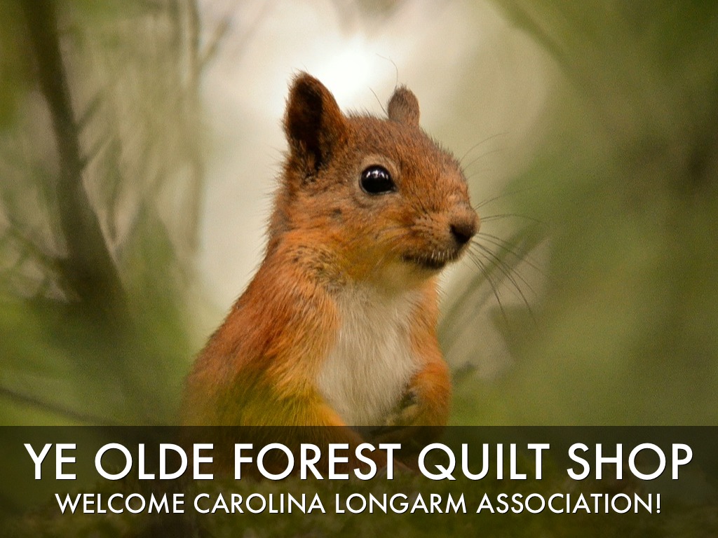 Carolina Longarm Association Business Presentation