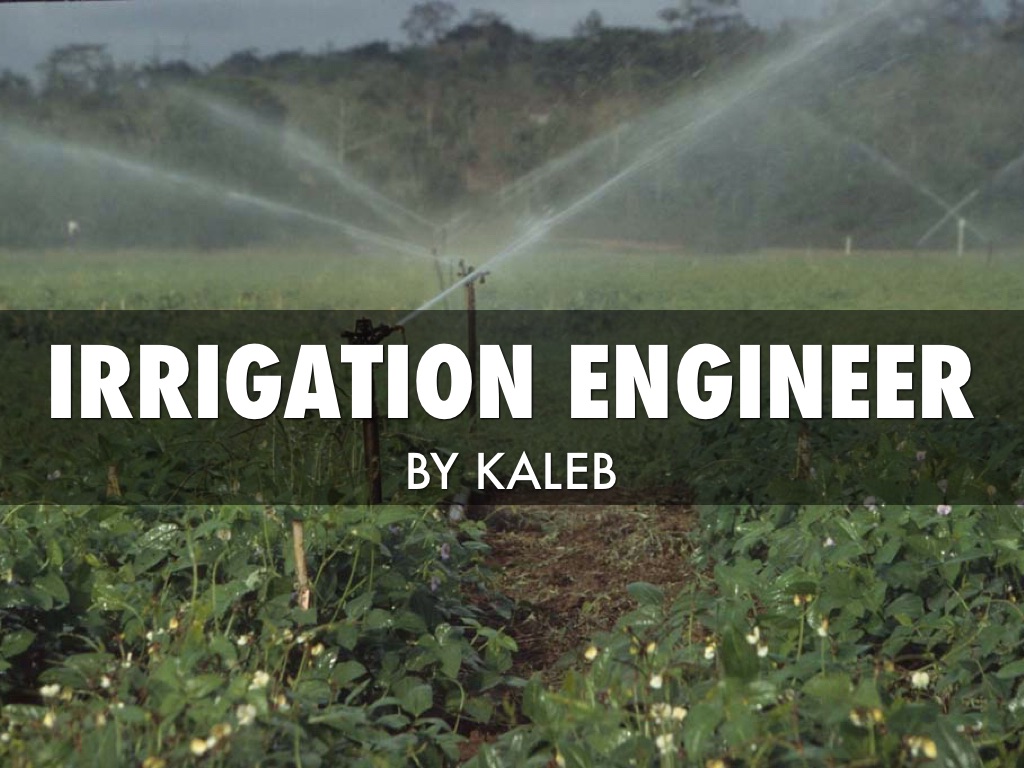 Irrigation Engineer 