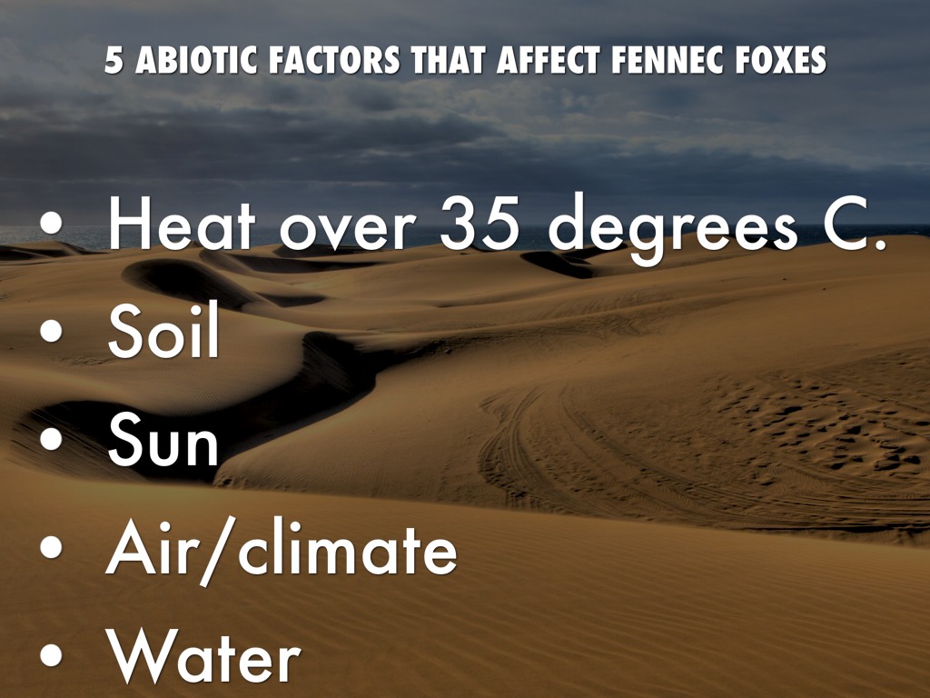 Abiotic factor is 0091