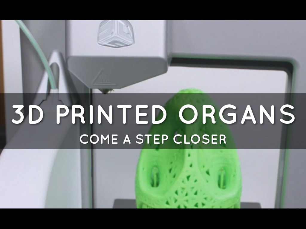 3D Printed Organ by Orlando Medel
