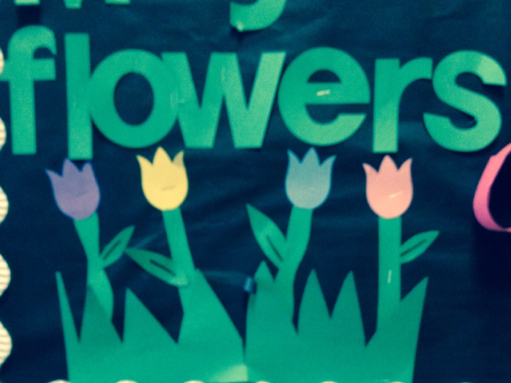 Flowers Around Our School