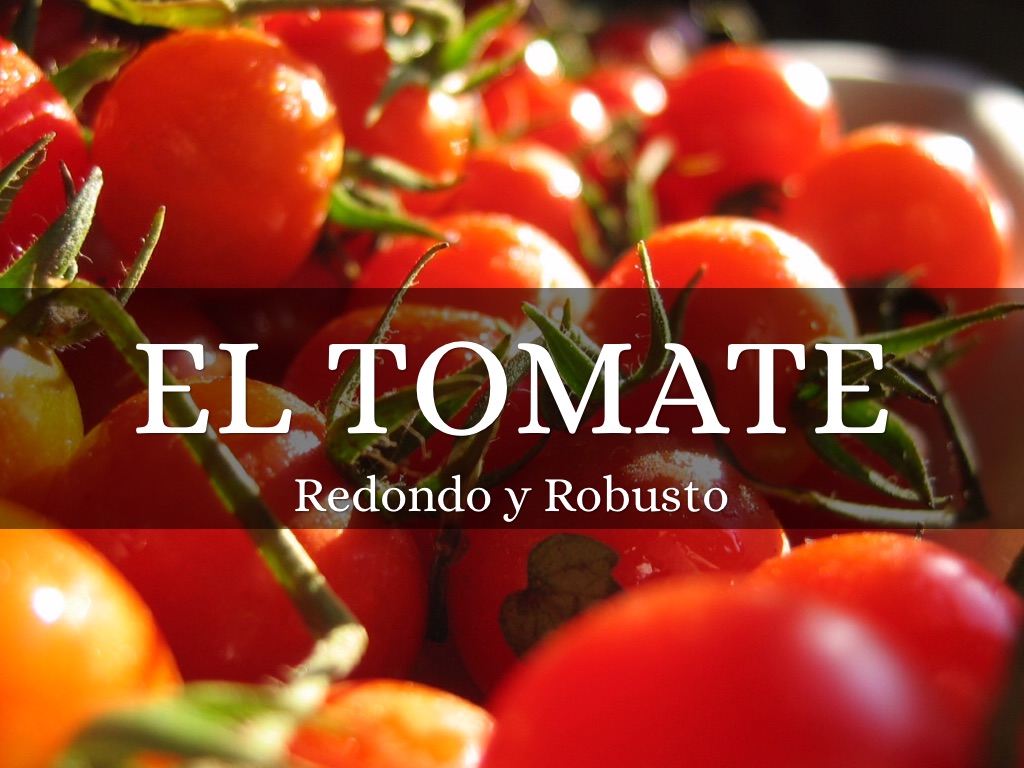 Oda A El Tomate