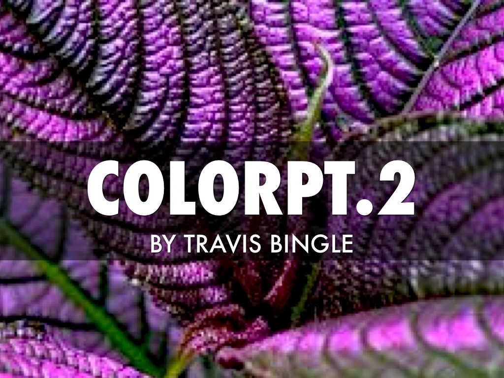 Color Pt.2