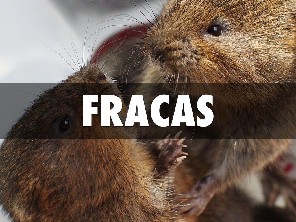 Bronze Bow Vocab by Matt Simpson