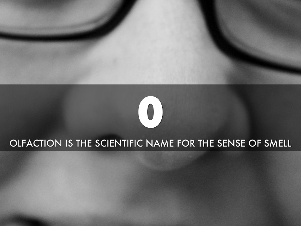 The Sense of Smell Does you Well by Kaitlin McLain