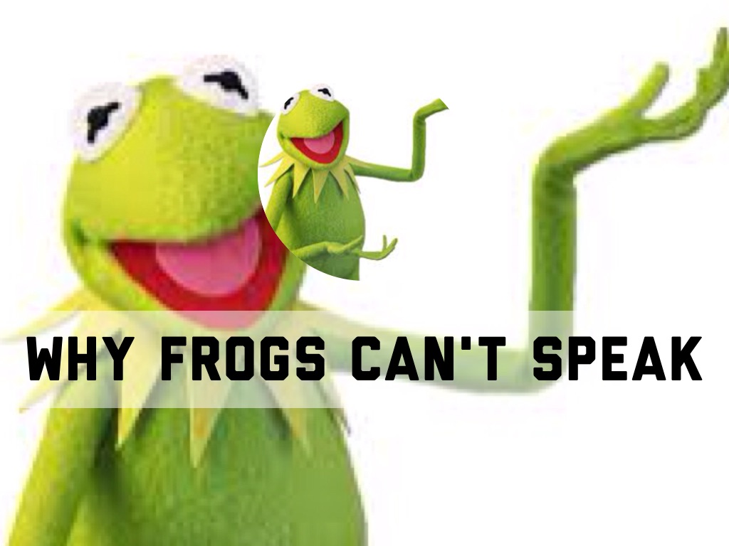 Adam And Tyler's Myth