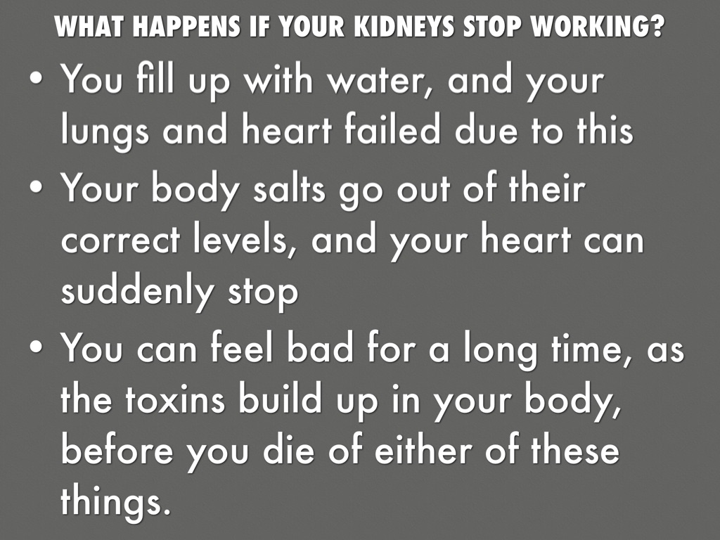 Kidney Disease Part 1 By Wendy Bridges Kidney Disease Part 1 By Wendy Bridges