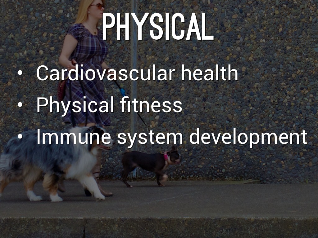 The Beneficial Effects Of Pet Ownership To Humans by