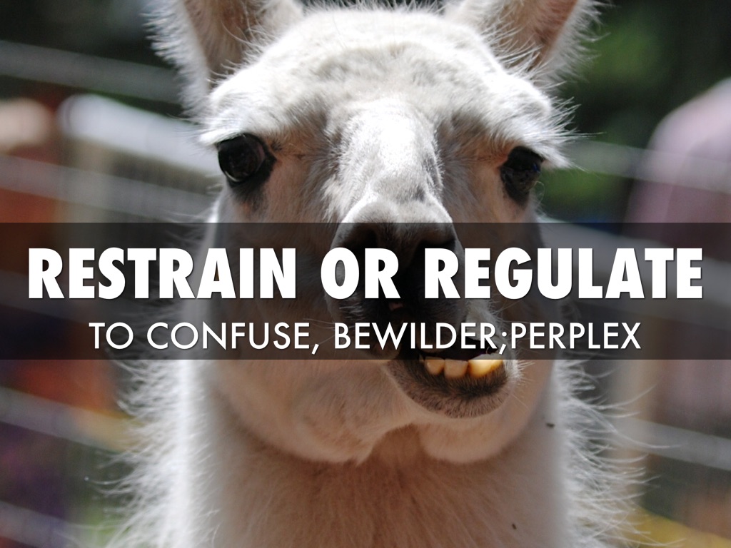 Bronze Bow Vocab by Matt Simpson