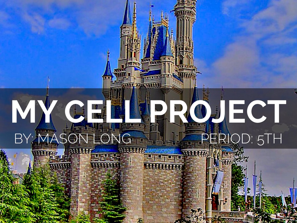 My Cell Project