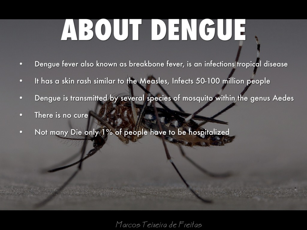 Dengue Fever