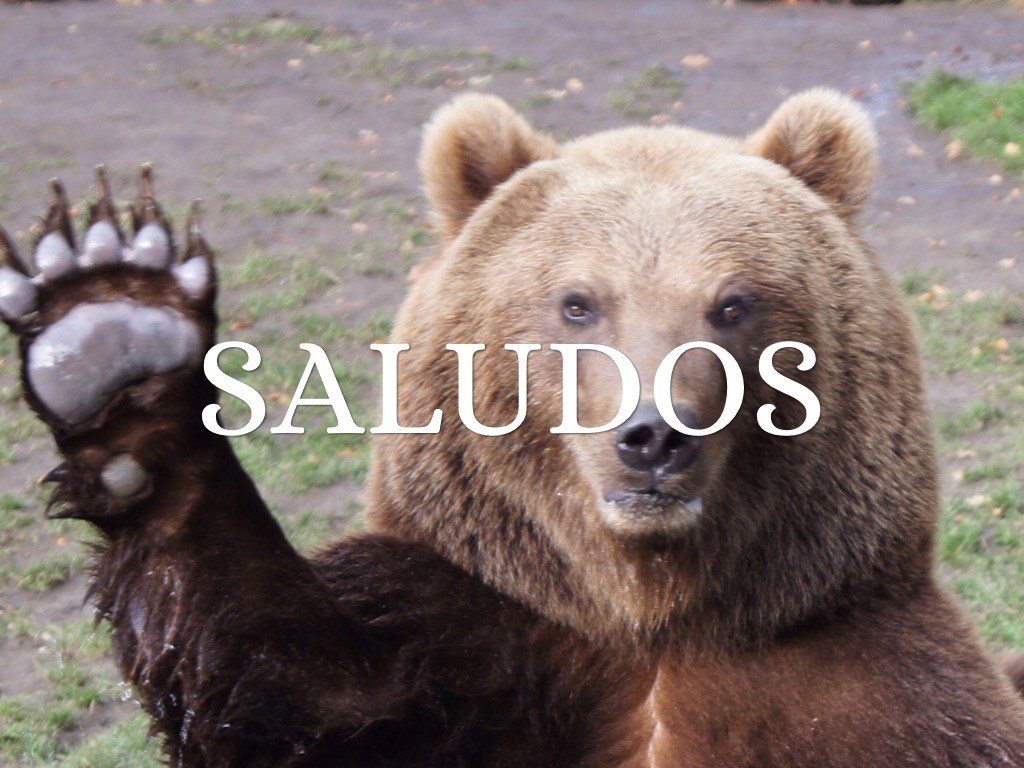 Spanish 1 Oral Final