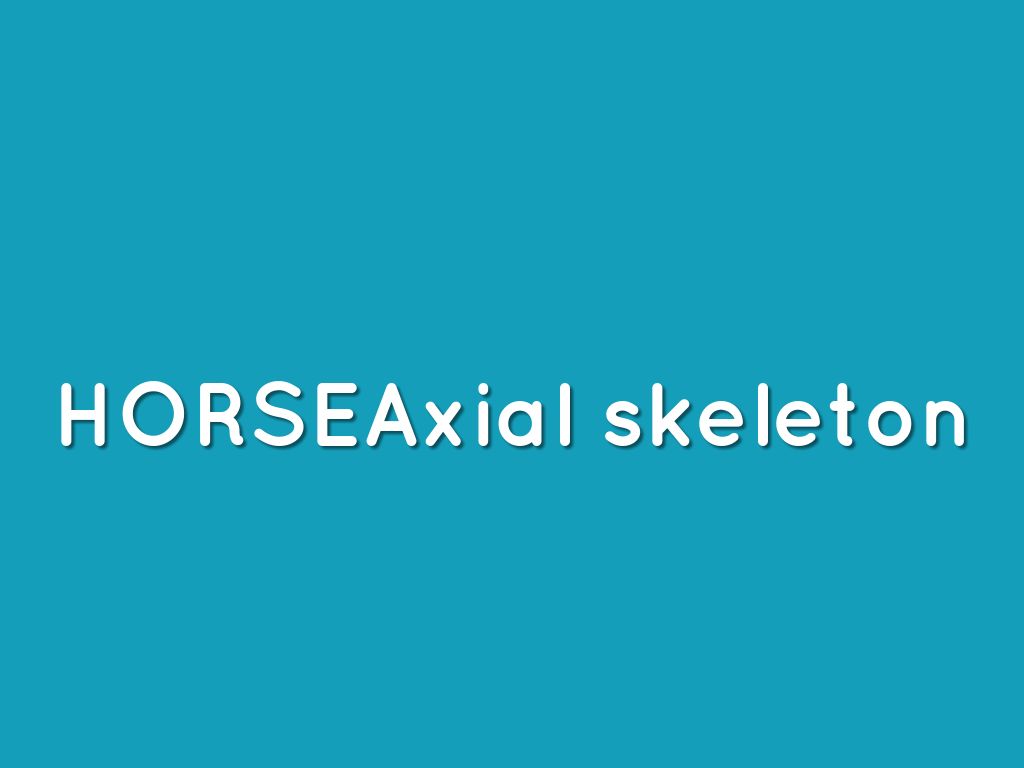 HORSEAxial skeleton