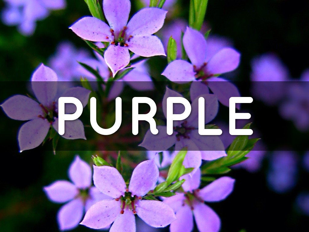 Purple