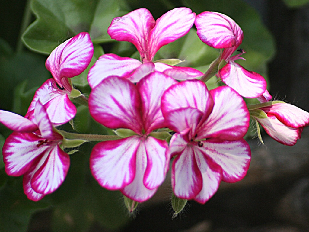 Copy of Waitrose Presentation