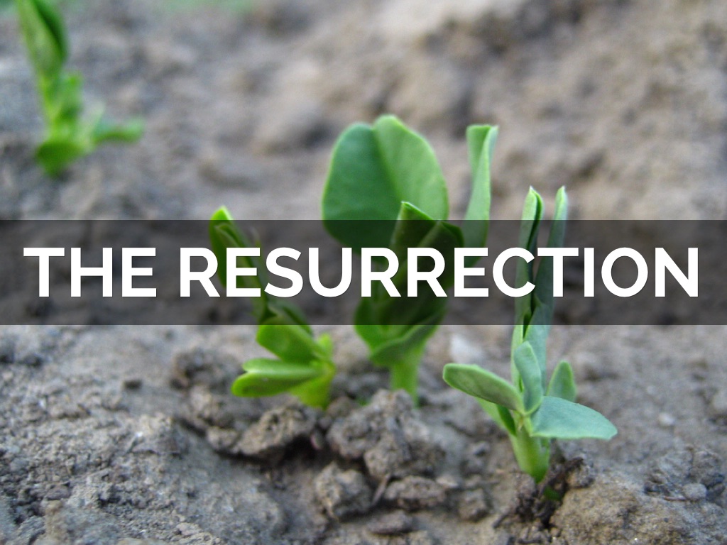 Resurrection 
