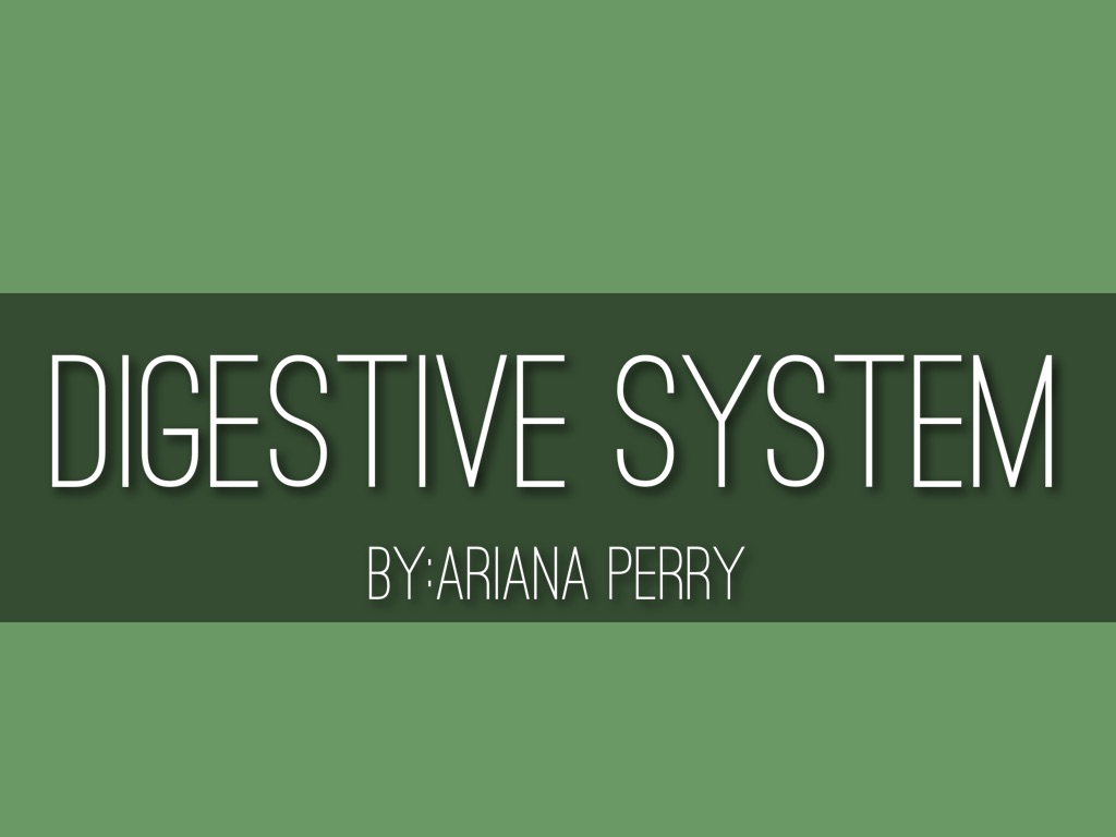 Digestive System