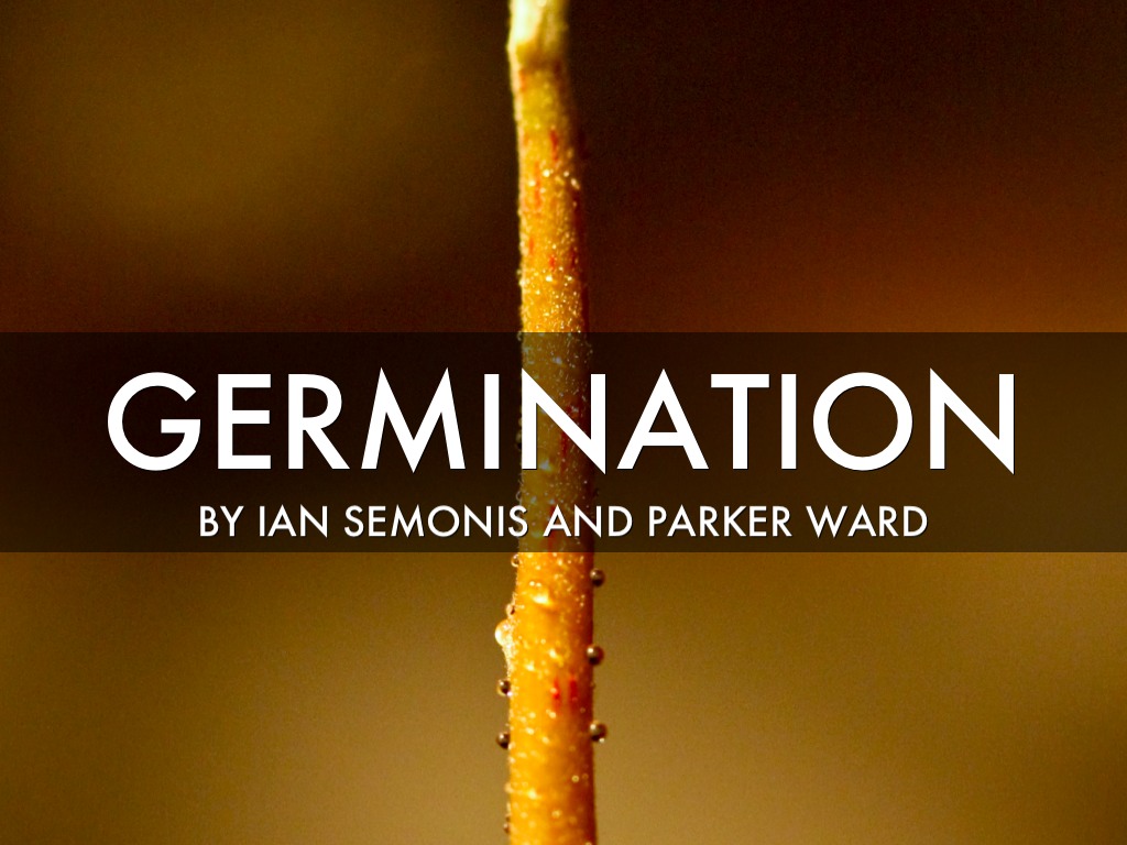 Parker Ward Ian Semonis 8F 