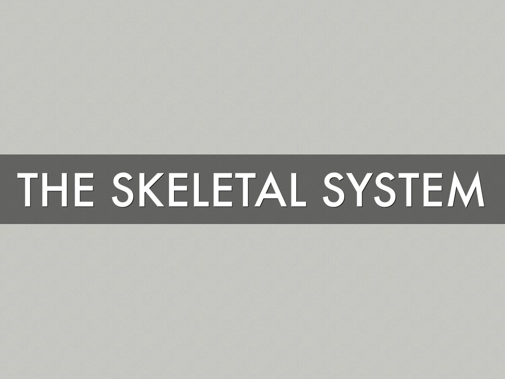 Skeletal System
