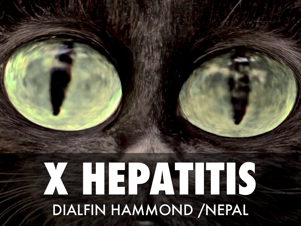 HEPATITIS 
