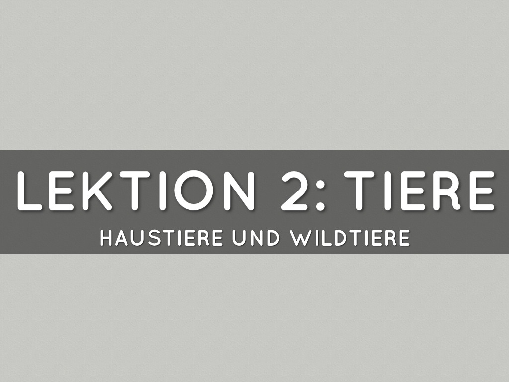 Lektion Zwei: Tiere