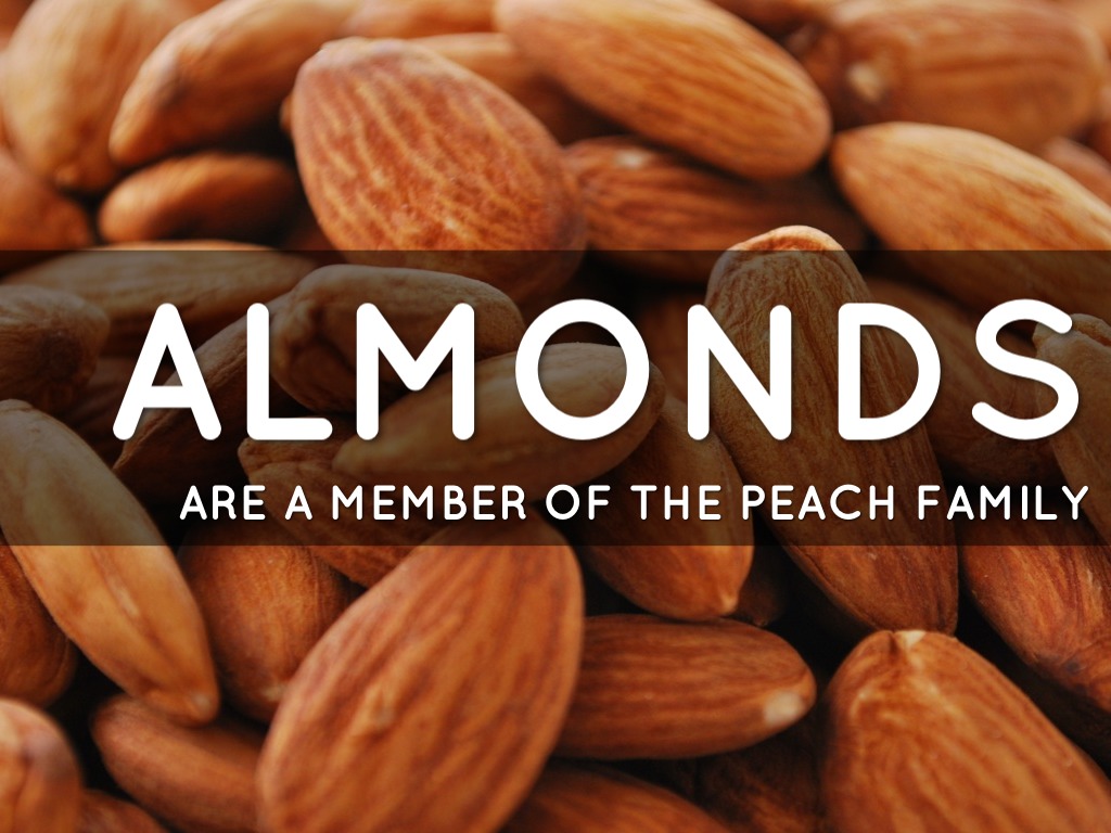 Did You Know? by Bailey K