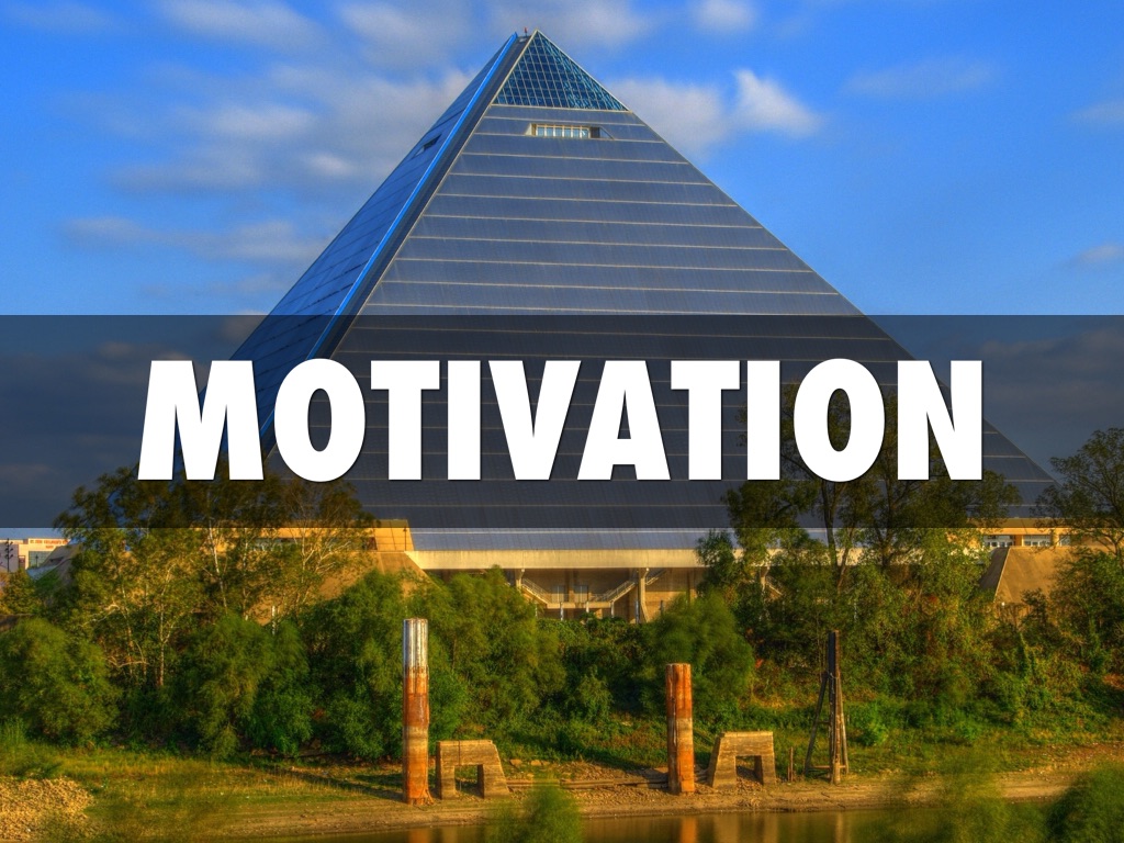 Organisation Structure