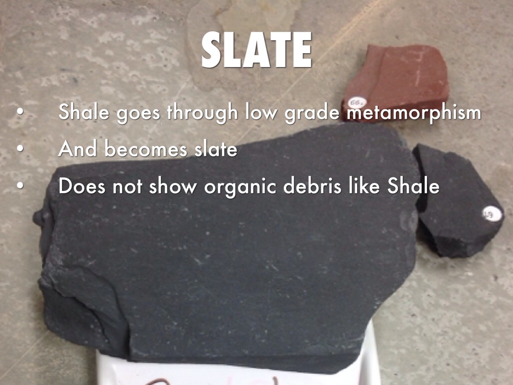 GeologyThe 3 Rock Types by Adam Kleid