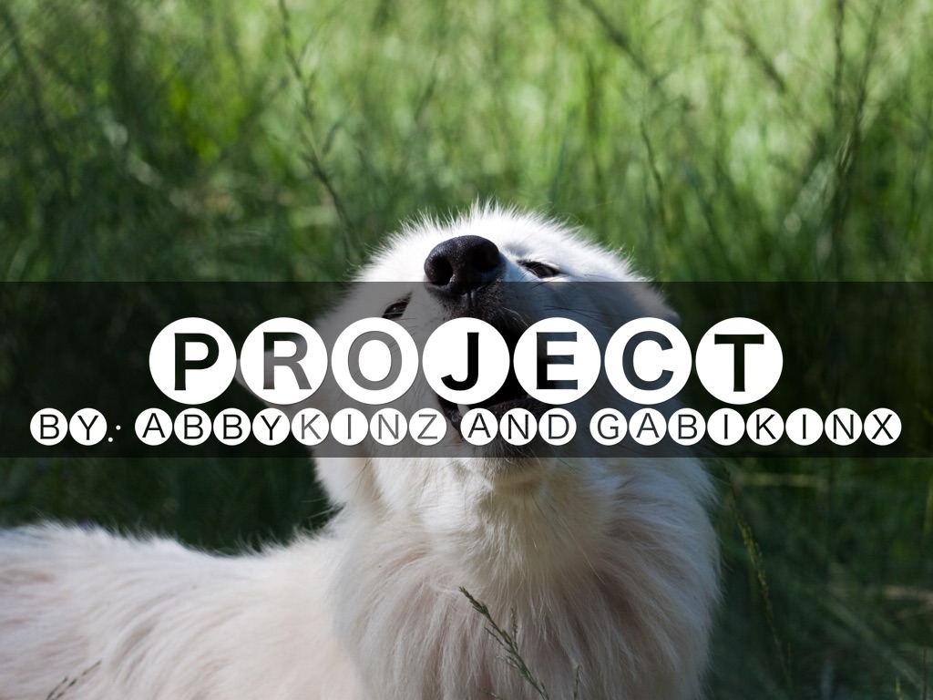 nαrrαtívє vѕ єхpσѕítσrч