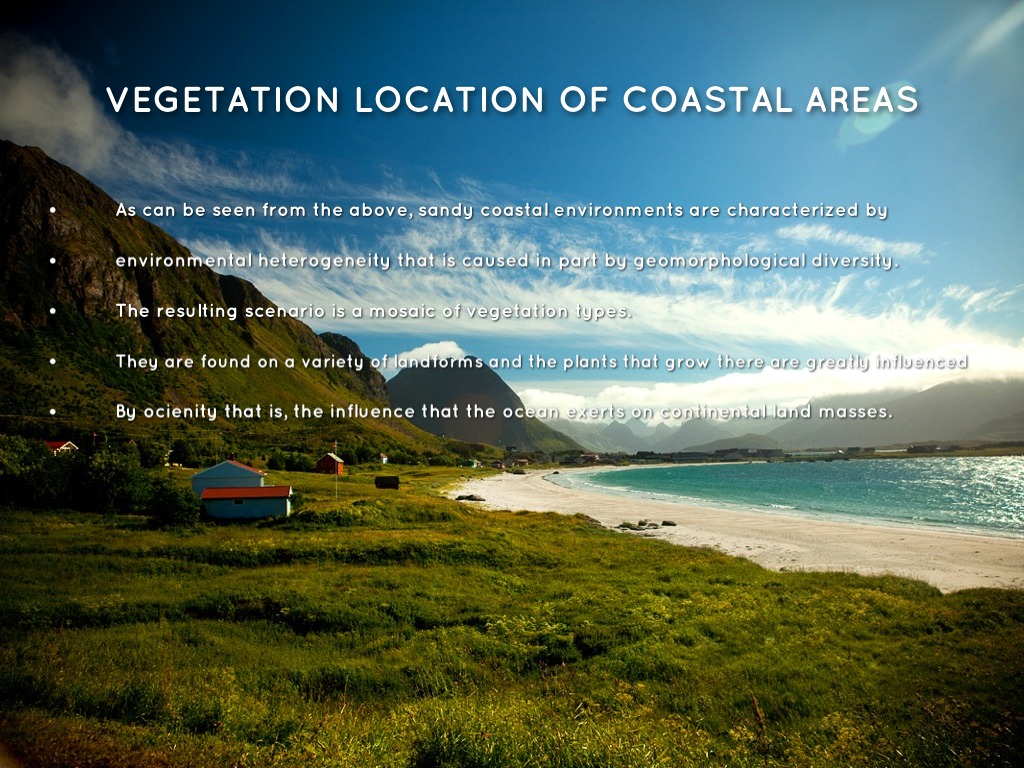 Coasts by Shanika Harpur