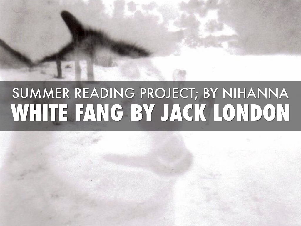 7th Grade Summer Reading Project 2014