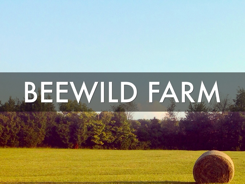 BeeWild Farm 2014