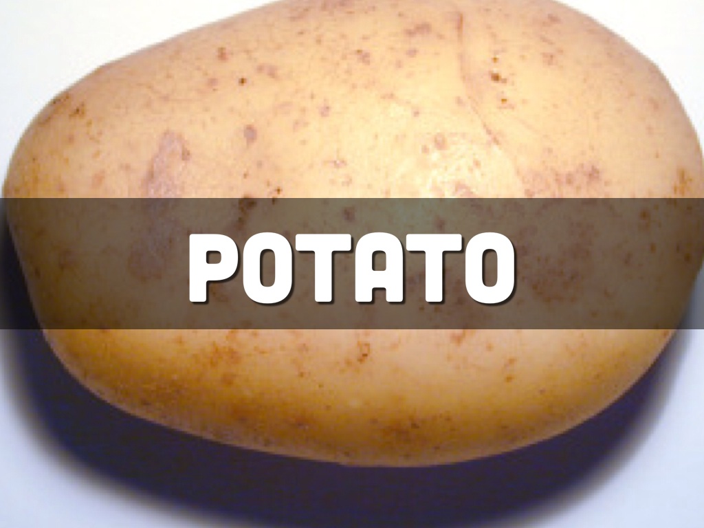 Spelling Singular & Plural Words by Juhi Chawla