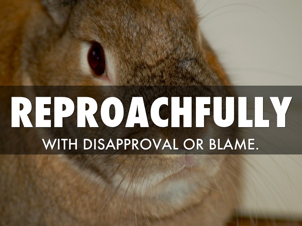 Chapter 5 Vocabulary