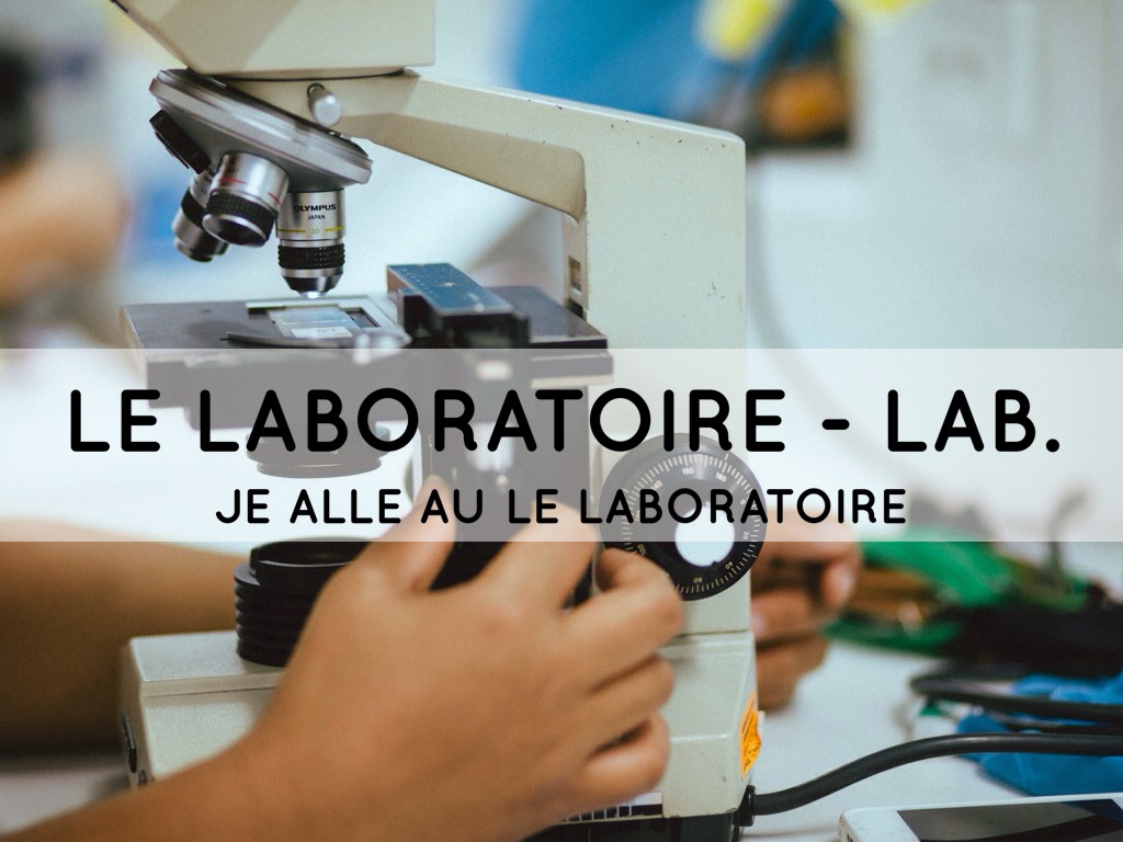 French by luzdanaeemateos