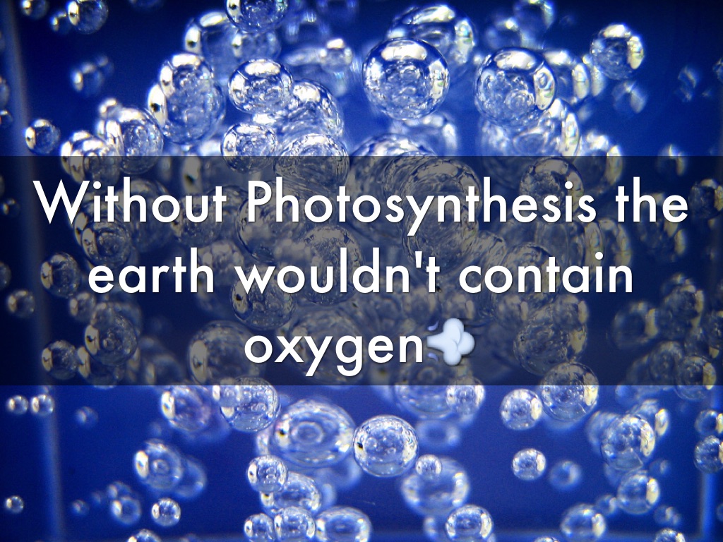 Photosynthesis 
