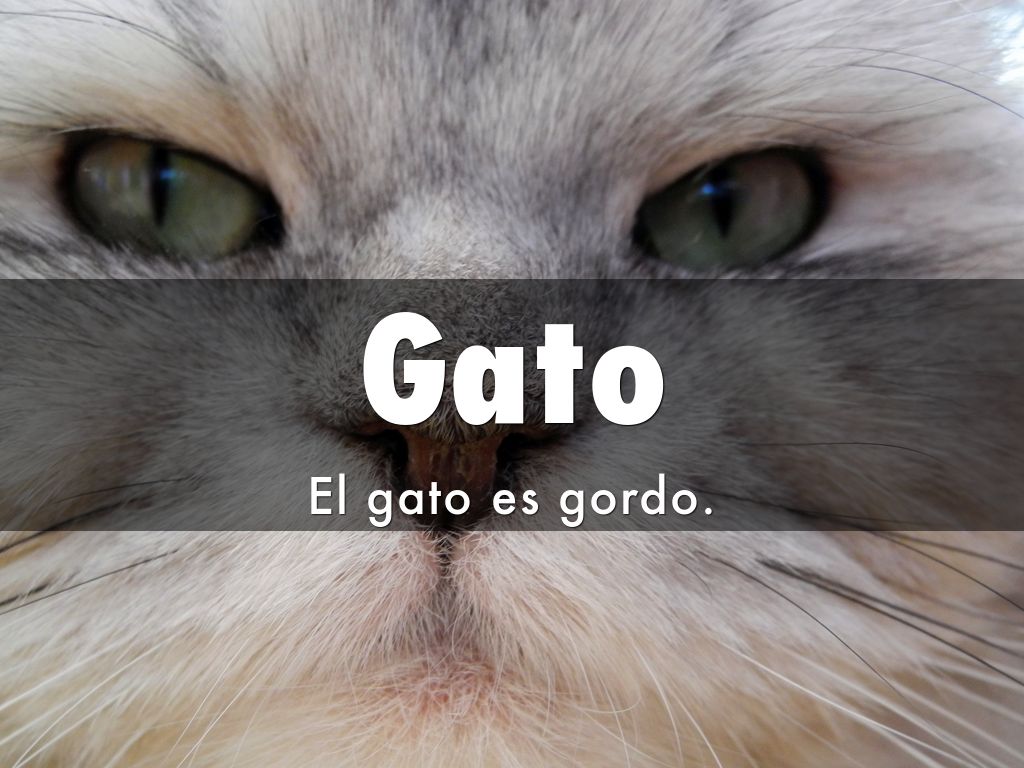 Spanish Vocabulary