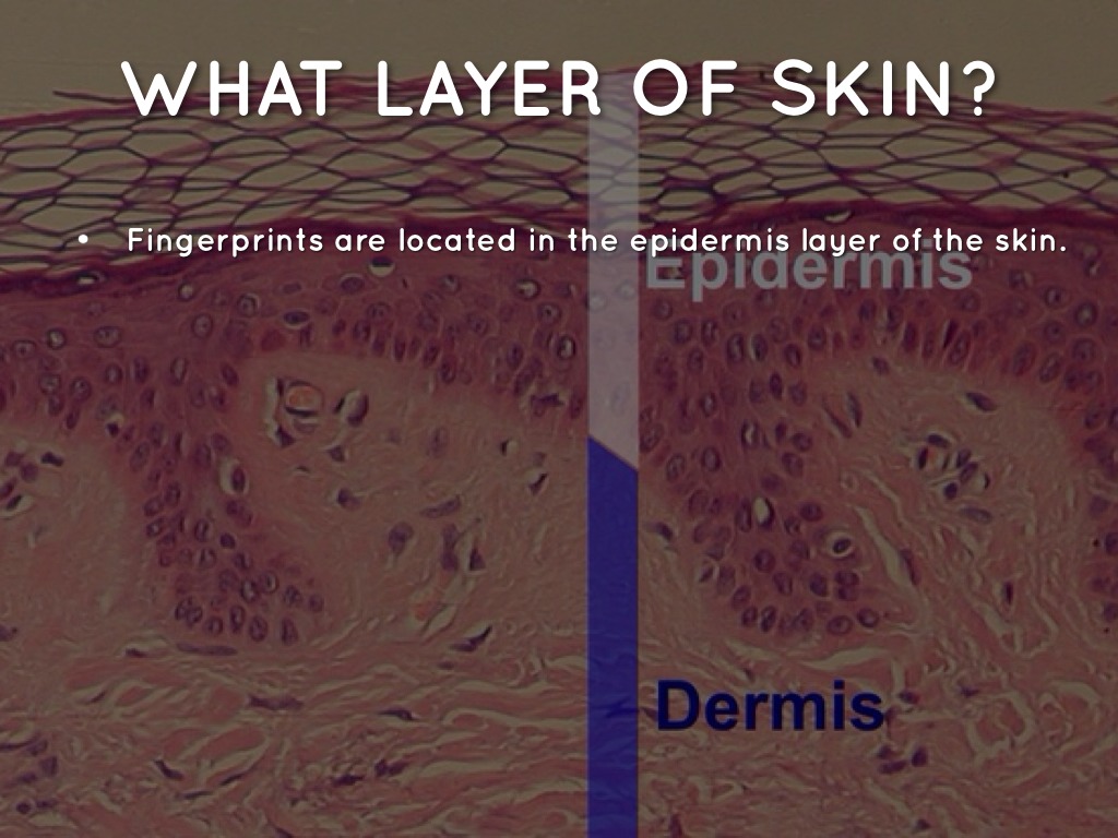 Fingerprints by Marc Corlett